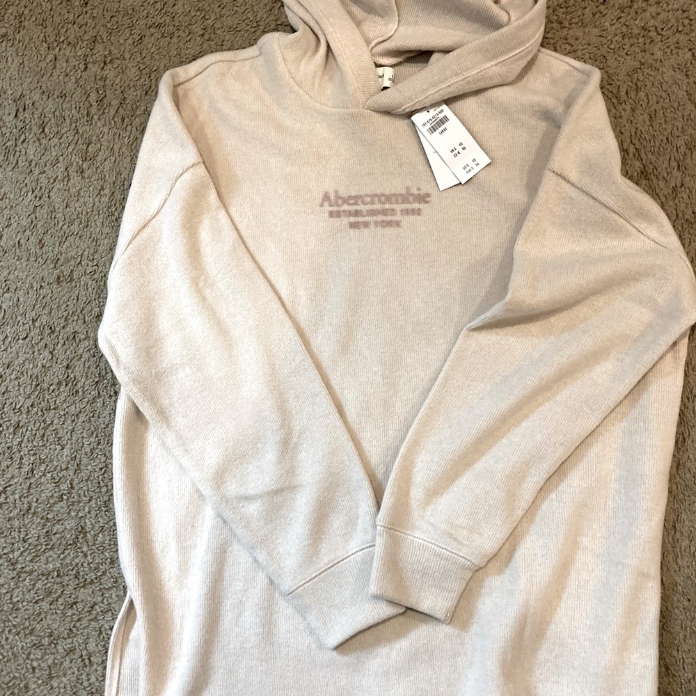 Abercrombie & Fitch Hooded Sweater